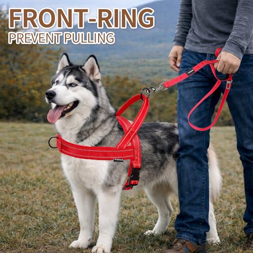 No Pull Dog Harness and Leash Set-Reflective Vest with Handle&5FT Dog Leash with Car Seatbelt Clip,Breathable Mesh&Quick Fit Dog Harness Easy for Medium Large Dogs Training Walking(Red,M) - color: Reflective-Red, size: M:Belly Chest-22.4''-27.6''