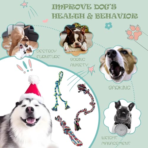 Dog Rope Toy, 3-Pack, Large | Heavy Duty, Tough Chew Toys, Durable Interactive Tug of War, Teeth Cleaning, For Large and Medium Aggressive Chewers - size: Large