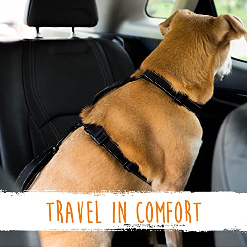 Mighty Paw Dog Seat Belt For Car - LATCH Compatible Adjustable Dog Seatbelt Harness for Small, Medium and Large Pets. Distraction Free Driving, Heavy-Duty Design with Aviation Grade Aluminum Carabiner - style: Latch Bar Attachment