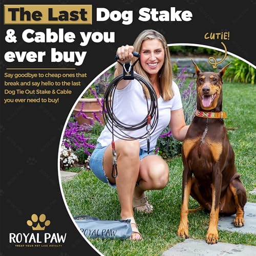 ROYAL PAW Dog Tie Out Cable and Stake 30ft - for Large Dogs up to 300 lbs - Heavy Duty Tether and Dog Stake for Yard, Beach & Camping Outside (Black, L/XL - 30ft) - size: L/XL - 30ft