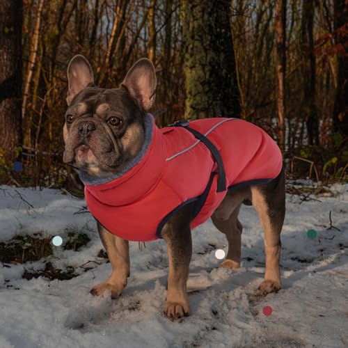 IECOii Extra Warm Dog Coat - Reflective, Adjustable Winter Jacket with Buckle & Turtleneck for Small to Extra Large Dogs - color: Pure Red, size: Small(Chest:12.6-16.5 in)