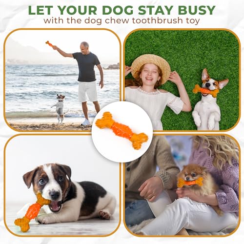 SPOT Bam-Bones Dental Bone - Made with Bamboo Fiber and a Massaging Rubber Center, Durable Oral Care Dog Chew for Light Chewers & Teething Puppies Under 40lbs, 7in, Allergen Free Peanut Butter Flavor - size: Large