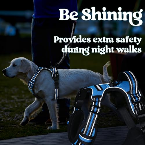 rabbitgoo Dog Harness Small Sized, No Pull Pet Harness with 3 Buckles, Adjustable Soft Padded Vest with Control Handle, Walking Reflective Pet Vest for Small Dogs, Sky Blue, S - color: Sky Blue, size: Small