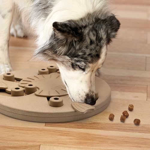 Outward Hound by Nina Ottosson Dog Worker Treat Puzzle Enrichment Toy, Level 3 Advanced, Tan - color: Dog Worker (Tan)
