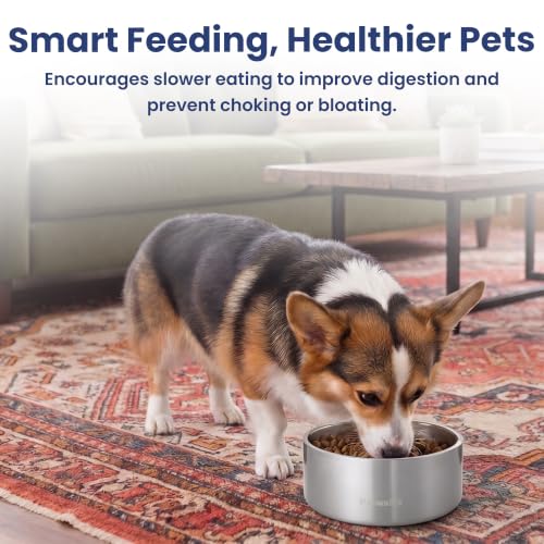PawsPik 64oz 18/8 Stainless Steel Slow Feeder Dog Bowl, Double-Wall Non-Slip Metal Dog Bowl for Fast Eating Medium & Large Breeds, Detachable Slow Feeder Insert, Dishwasher Safe (Arctic Steel Silver) - color: Arctic Steel Silver