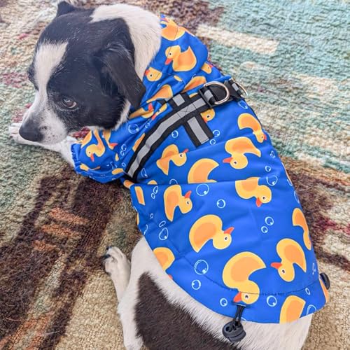 BEAUTYZOO Dog Raincoat Hooded with Harness Built-in, Waterproof Jacket Poncho for Small, Medium, Large Dogs, Girls and Boys, Yellow Duck, Winter Rainy Snowy Days - color: Duck Blue, size: M(Back 15", Chest 22.5", Neck 16")