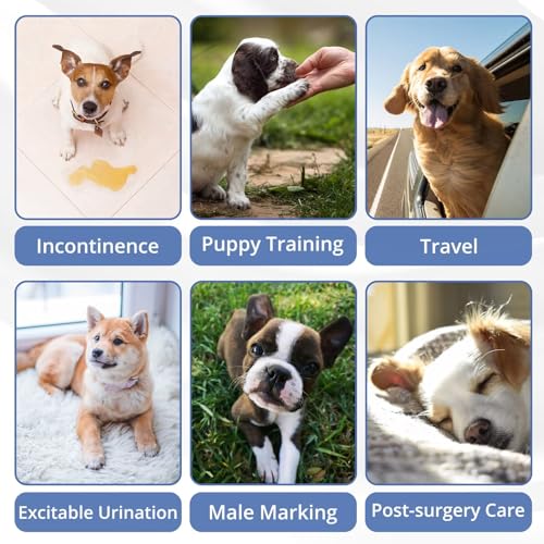 Paw Legend Washable Dogs Diapers Male Dog Belly Bands for Male Dogs Diapers Reusable Puppy & Doggie Diapers Male - color: Cute dog, size: X-Small