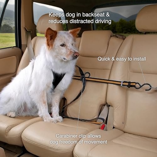 Kurgo Auto Zip Line - Backseat Zipline Harness for Car Travel - Dog Car Accessory for Safe Rides - Adjustable Pet Tether - Durable Nylon Zipline Leash Travel System