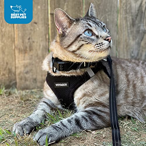 Voyager Step-in Air All Weather Mesh Harness and Reflective Dog 5 ft Leash Combo with Neoprene Handle, for Small, Medium and Large Breed Puppies by Best Pet Supplies - Green, X-Small - color: Leash Harness Set (Army Base), size: XS (Chest: 13 - 14.5")