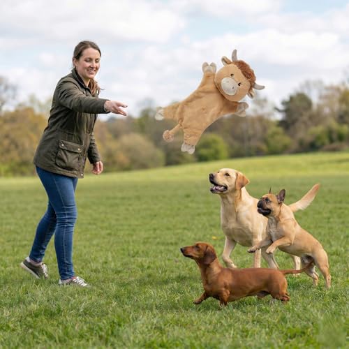 Fuzzl Harry Highland Cow Crinkle & Squeak Dog Toy – Low Mess Minimal Stuffing Plush Puppy Toy – Interactive Soft Squeaky Dog Toy for Small to Medium Dogs - style: Highland Cow