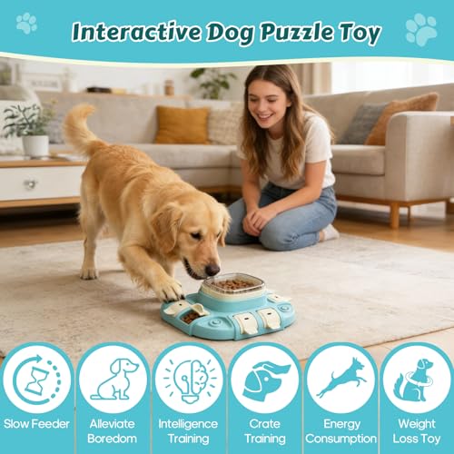 2 Levels Dog Puzzle Toy, Slow Feeder for Fast Eating Pets Interactive Dog Treat Puzzle Toys for IQ Training, Treat Dispenser for Small Medium Large Dogs, Cats - color: 2 Level Puzzle