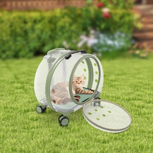 Cat Backpack Carrier, Transparent & Fully Breathable Hard cat Carrier with Rolling Wheels for Kitty Small Dog up to 19lbs, Multiple Carrying Options, Perfect for Travel Hiking, Green, Clear