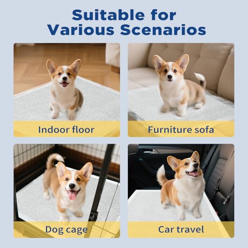 ABCPET Puppy Pads Puppy Pee Pads 100 Count Dog Pads with 5-Layer Leak-Proof Design, Small Disposable Dog Training Pad 22"x22" with Super Absorbent & Cat Litter for Dogs, Cats - size: "22"x22"-100 Count
