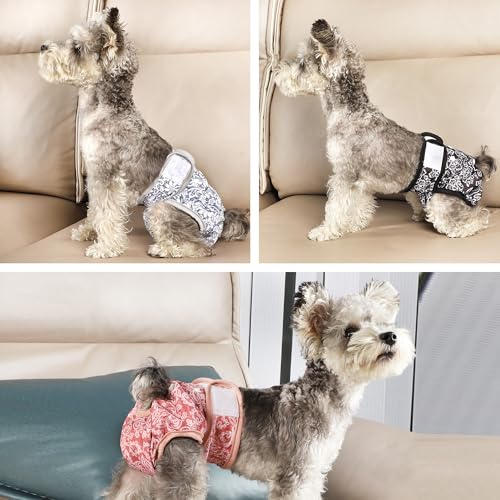 wegreeco Luxury Washable Reusable Dog Diapers (Stylish Pattern) - Female Dog Diapers, Doggie Diapers, 3 Pack (Lace, Small) - color: Lace, size: Small