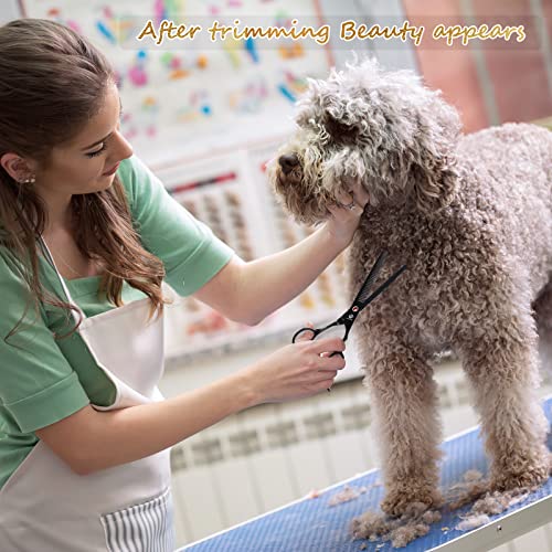 Dog Grooming Scissors Kit with Safety Round Tips, GLADOG Professional 6 in 1 Grooming Scissors for Dogs, Sharp and Heavy-duty Dog Grooming Shears for Dogs Cats Pets - style: Professional Set