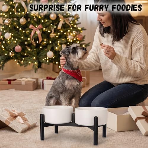 Raised Ceramic Dog Bowl Set - Elevated Double Dishes with Stainless Steel Stand - Food and Water Bowls for Small to Medium Dogs - Each Holds 3.5 Cups (29.57 fl oz) - White - color: White, size: 2 Bowls - 3.5 Cups Each