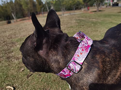 Heavy Duty Nylon Dog Collar, Adjustable Martingale Dog Collar for Walking Training Boy and Girl Dogs Medium Large Dogs (XL:53-62CM, Ocean) - color: Ocean, size: X-Large