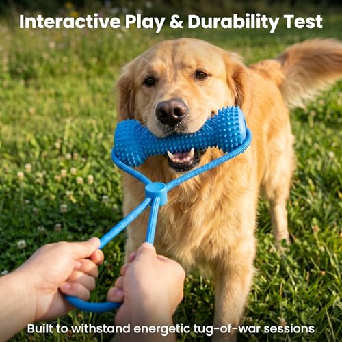 Dual-Action Dog Dental Chew Toy, Adjustable Canine Mouth Opener for Teeth Brushing, Durable Bite-Resistant Pet Oral Care Tool and Teeth Cleaning Aid for Medium Large Dogs (1Pcs) - color: 1Pcs