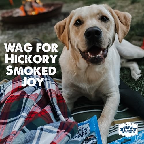 Best Bully Sticks Hickory Smoked Jumbo 12 Inch Bully Sticks - 10 Count (Pack of 1) - Natural, Smoky, Grain and Odor-Free, No Additives