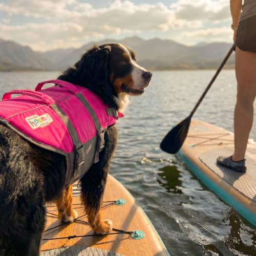 Outward Hound Granby Splash Pink Dog Life Jacket, XL - color: Pink, size: X-Large (Chest Girth: 33"-44")