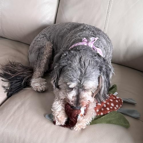 SPOT Skinneeez Crinklers Bird- Stuffing-Free Dog Toy with Crinkle and Squeaker Sounds, Durable Tug Toy for Moderate Chewers, Ideal for Medium and Large Dogs, Assorted Styles, 23 in - style: Large Bird