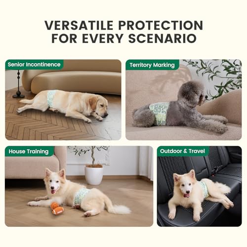 Gardner Pet Male Dog Diapers Disposable 50 Ct, Male Dog Wraps with Wetness Indicator & Flashdry Gel Technology, Dog Diapers Male for Puppy Training, Marking, Incontinence, Travel - Large - size: L-50ct (21-26" Waist)