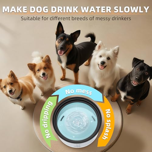 Decflow 1.2Gallon Dog Water Bowl No Spill, 4.5L Large Capacity Spill Proof Dog Bowls with Transparent Floating Disk, No Splash Slow Drinking Dog Bowl for Sloppy Messy Drinkers - color: B-Black
