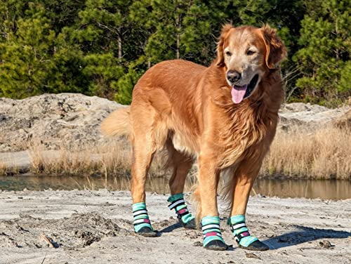 All Weather Neoprene Paw Protector Dog Boots with Reflective Straps in 5 Sizes! (Turquoise XL) - size: XL