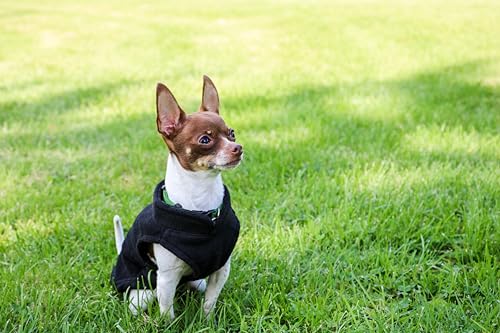 JACKO & CO - Fleece Vest Dog Sweater with Leash Ring - Soft, Warm & Lightweight Pullover Coat for Small & Medium Dogs, Puppies & Cats - Cozy Fall/Winter/Spring Pet Jacket (Black, Small 4-6lbs) - color: Black, size: S (4-6lbs)
