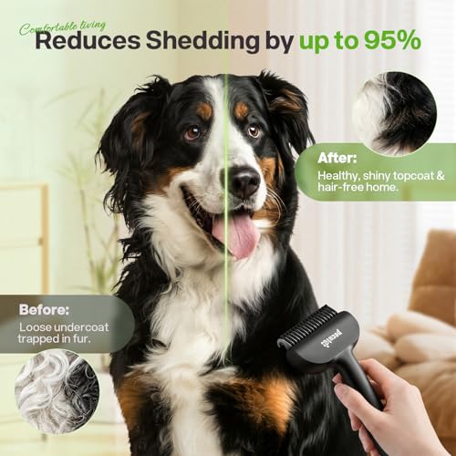 Pecute Self-Cleaning Undercoat Rake for Dogs Cats with Thick Double Coats | 1-click clean, 304SS, 18 rounded teeth, For seasonal heavy shedding & matting, Gentle on pets, Ideal for long/dense coats - color: Black