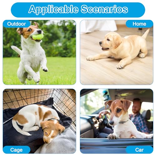 Catcan Dog Pee Pad Holder Starter Kit, Includes 1 Non-Slip Tray and 40 Disposable Training Pads, Housebreaking Essentials for Puppies (24 x 24In)