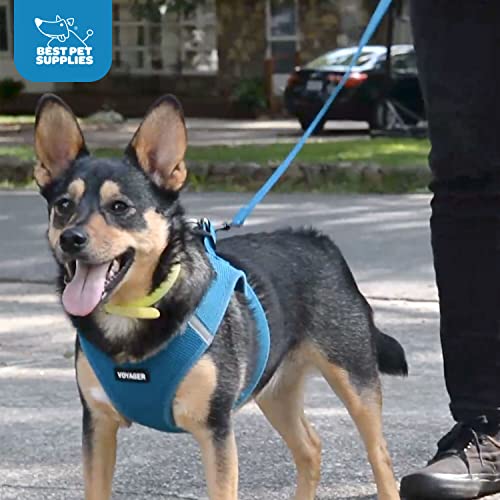 Voyager Step-in Air All Weather Mesh Harness and Reflective Dog 5 ft Leash Combo with Neoprene Handle, for Small, Medium and Large Breed Puppies by Best Pet Supplies - Blue, X-Large - color: Leash Harness Set (Blue Base), size: XL (Chest: 20.5 - 23")