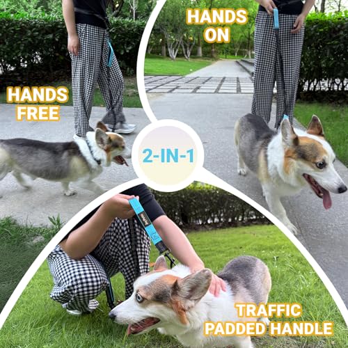 Hands-Free Bungee Dog Leash for Running Walking Small Medium Dogs | 4-6ft length, 28-47in adjustable waist belt, 2 reinforced handles, shock absorbing, reflective anti-pull, blue handles - color: Blue