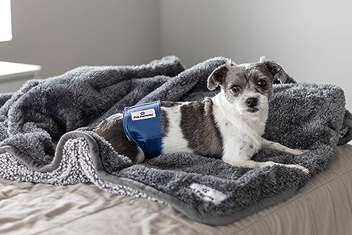 Pet Parents® Washable Belly Bands for Male Dogs (3pack) + Extendrs® of Durable Dog Diapers Male, Premium Male Dog Diapers & Dog Wraps (Small, Kingsmen) - color: Kingsmen, size: Small (13-16")
