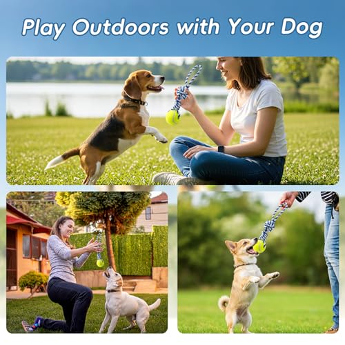 Interactive Tug of War Rope Toy for Medium & Small Dogs - Outdoor Tether Tug Toy with 1 Knot & Tennis Ball, Puppy Teething Chew Cotton Toy