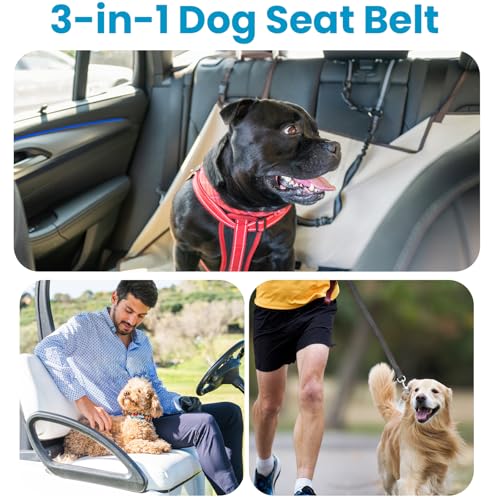 Doggie Seat Leash for Golf Cart, Pet Dog Seat Belt Harness for Car, Collar,Golf cart Dog Belt, Pet Safety Protection
