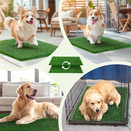LOOBANI Dog Grass Pee Pads, Artificial Dog Grass Pads for Potty Tray, Fake Grass for Dogs to Pee On, Outdoor Indoor Pee Grass for Dog Potty (18.1*28.1 inch) - size: 18.1*28.1 inch