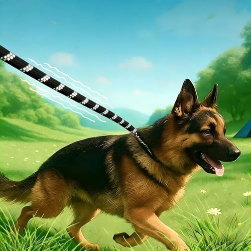 1 Pack 6 FT Heavy Duty Rope Dog Leash, 1/2 Inch Thick Reflective Pet Lead with Padded Handle for Large Medium Breeds, Walking & Training Gear, Black