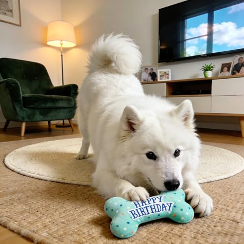 PrimePets Dog Birthday Toys, Plush Dog Squeaky Toys, Stuffed Puppy Chew Toy for Small Medium Large Dogs, Bone Pet Toy