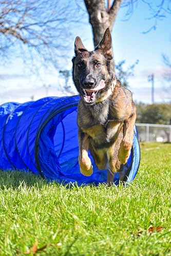 Better Sporting Dogs 3 Piece Essential Dog Agility Equipment Set | Agility Jump | Tire Jump | 10’ Tunnel with Sandbags