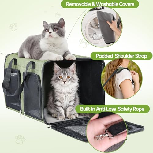 Cat Carrier for 2 Cats - Double Pet Carrier Extra Large, Dual Cabin Multi Cat Travel Carrier with Removable Divider, Collapsible, Can Hold 20 30 40 lbs for Two Small Kitten, Medium Dog Green - color: Green