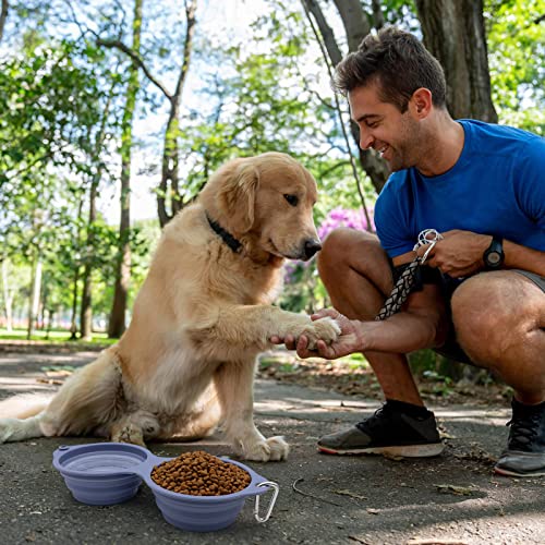 SLSON Collapsible Dog Bowls,Integrated Molding Dog Double Bowl No Plastic Rim 2 in 1 Foldable Pet Food & Water Bowl Cat Feeder Dish for Walking,Hiking,Camping (Taro Purple) - color: Taro Purple