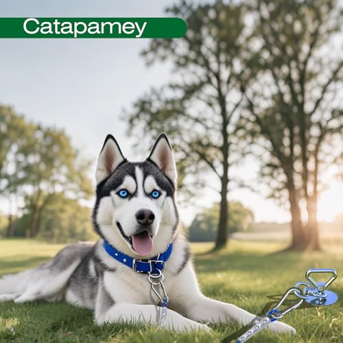 Catapamey Dog Tie Out Cable and Stake,with 2x15 Feet Heavy Duty Cable(up to 200lbs),360° Swivel Dog Run Anchor,Runner for Yard-No Tangle,Ideal for Outdoor Camping
