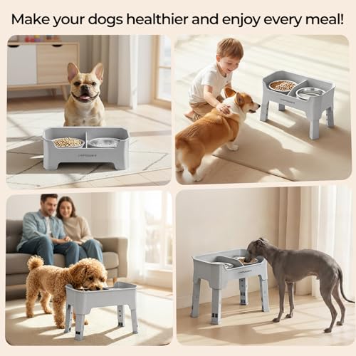 URPOWER Mess Proof Elevated Dog Bowls 4 Height Adjustable Raised Bowl Stand with 2 Stainless Steel Dog Bowls Non-Slip Food and Water Bowl Set for Small Dogs, Light Grey - color: Light Grey, size: Small