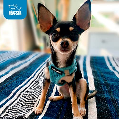Best Pet Supplies Voyager Step-in Air Harness - All Weather Mesh, Reflective, No Pull Harness for Dogs, Cats - Secure with Hook & Loop Fastener, Buckle, Double D-Rings - Baby Blue, XXXS - color: Harness (Baby Blue), size: XXXS (Chest: 11 - 12")