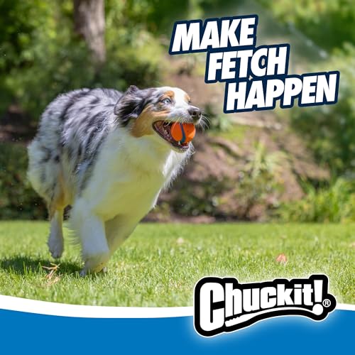 Chuckit! Ultra Ball Dog Toy, Medium (2.5 Inch Diameter) Pack of 1, for breeds 20-60 lbs - size: Medium (1 Pack), style: Ultra