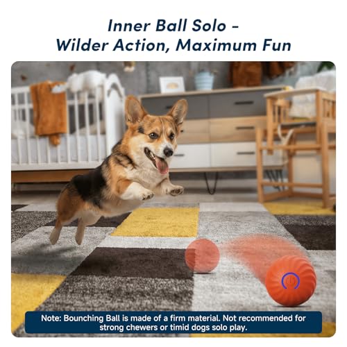 Unique Interactive Dog Toy with Ball-in-Ball Design, 4X Durable Rubber Outer Shell & Inner Smart Automatic Bouncing Ball to Keep Them Busy, Fetch & Puzzle Toys for Medium, Large High Energy Dogs