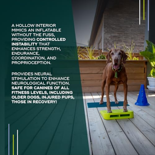 FitPAWS Balance Ramp | Dog Agility Equipment for Balancing, Obedience Training, and Sensory Stimulation