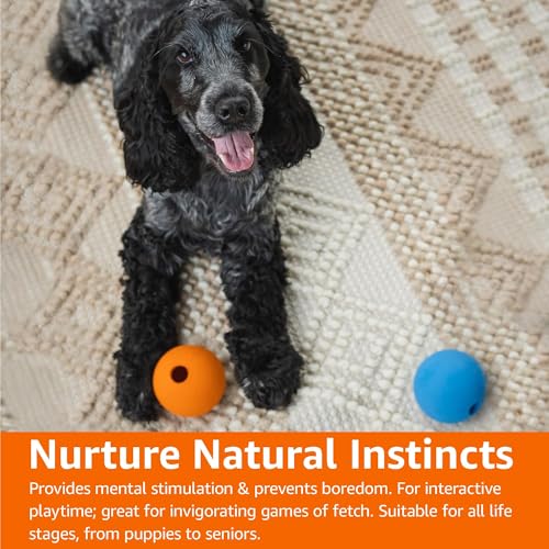 Amazon Basics Interactive Bouncy Durable Rubber Dog Toy Balls, 2.5 inch, Multi-Color Blue/Orange, Pack of 10 - size: 2.5 inch, style: Fetch Balls (Pack of 10)