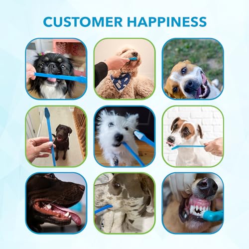 Boshel Dog Toothbrush Kit, 6 Dual-Headed Dog Tooth Brush + 2 Pet Finger Toothbrush for Small and Large Breeds, 8 Pack - style: 8 Pack